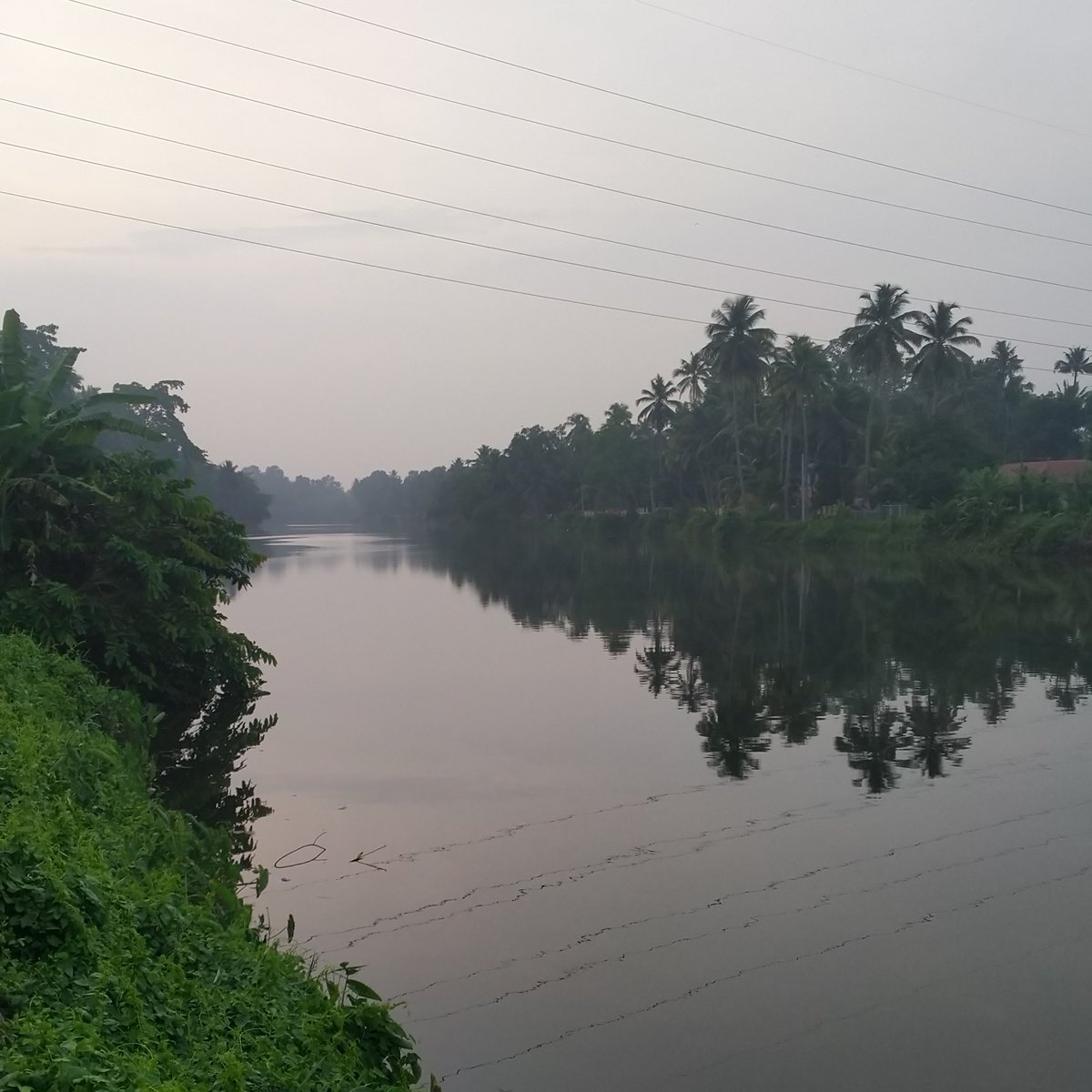 Summer Morning and River
#backwaters #kerala #india #indian #godsowncountry #planetearth #vibes #goodvibes #tropical #tropicalvibes🌴 #vibes #positivevibes #clouds #rainy #reflections #green #greenery