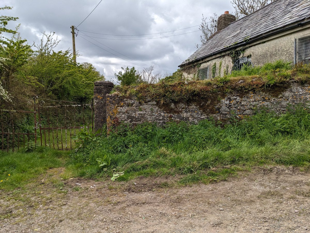 Town and country 
The Left Bank, once a Cork hotspot, now a very sad part of a three storey wreck. 
This cottage in Lotabeg, a rural suburb,could have been a much loved home once upon a time.
#DerelictIreland #Cork #Corcaigh