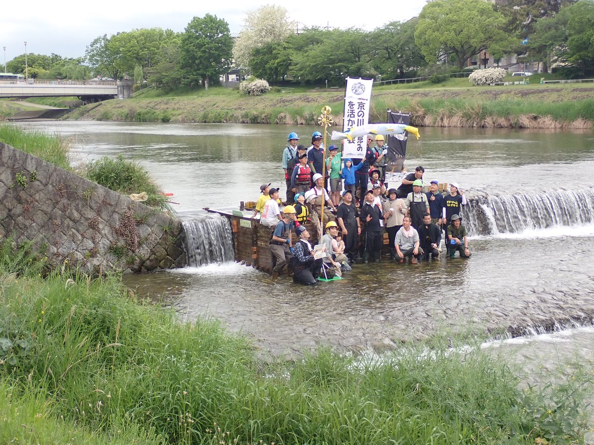 本日、丸太町魚道も無事完成しました！

今年の魚道設置は残すところ5/12(日)の四条魚道のみとなりました

是非ご参加、ご見学ください！

今日は多くのギャラリーで賑わっていました❣️
#鴨川 #丸太町 #魚道 #京都