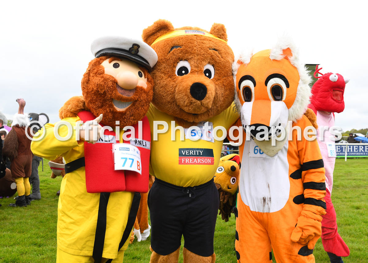 The @Sue_Ryder @MascotGoldCup at @WetherbyRaces and sponsored by @Poundland