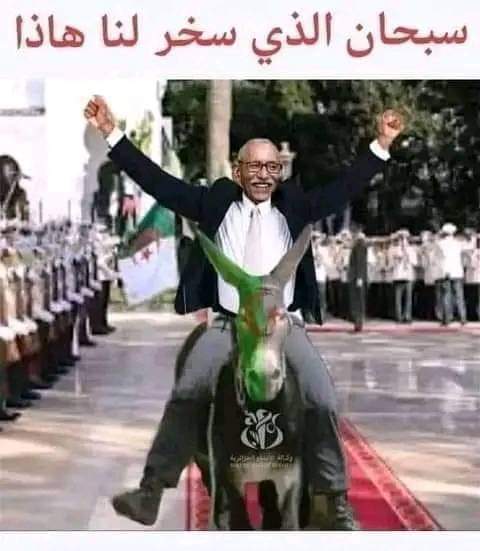 <a href="/vivalalgerie7/">🇩🇿 1.2.3 viva l'algerie</a>