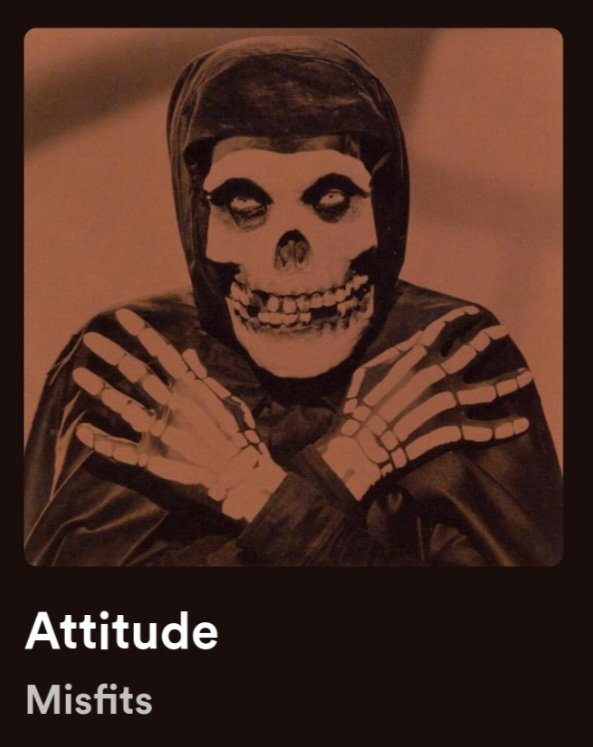 Attitude,
You got some fuckin' attitude#🎸🥁🎶#Misfits #RnFnR