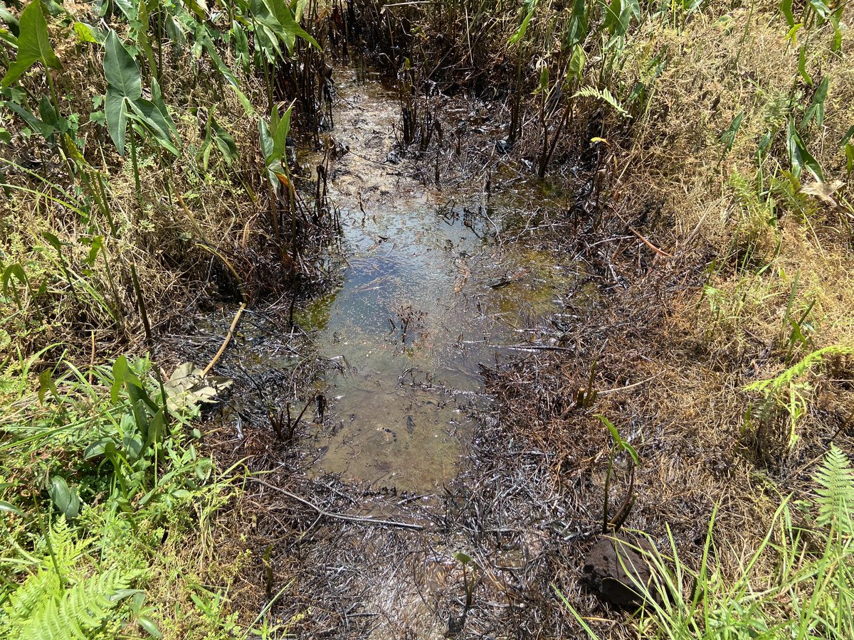 ODUWARE STEPHEN tweet media