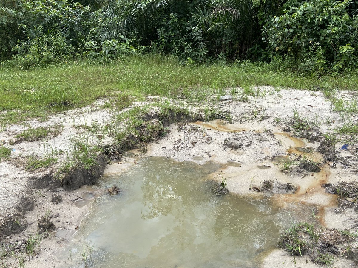 ODUWARE STEPHEN tweet media