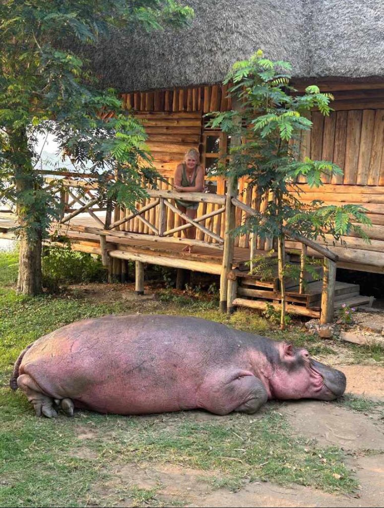 KalyowaFred's tweet photo. Imagine waking up and you find a visitor in your compound without any invitation. https://t.co/p5AYyZTLHQ