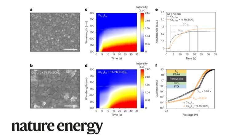 Suppression of phase segregation in wide-bandgap perovskites with thiocyanate ions for perovskite/organic tandems with 25.06% efficiency

@NatureEnergyJnl #Material #MaterialScience #perovskite 

nature.com/articles/s4156…