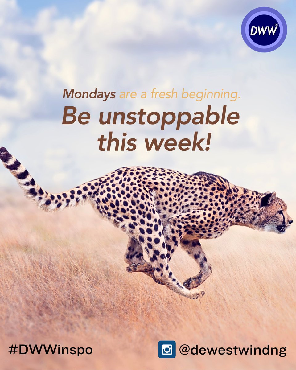 dewestwindng's tweet photo. Be Unstoppable… start your week with #courage 

#dwwinspo #motivation #motivational #motivationmonday #motivationalquotes #monday #mondaymood #mondays #love #insta #instapost #IVE_SWITCH #fanart #QueenOfTears #QueenOfTearsEp16 #FATEPLUS_IN_TACOMA #IVE_SWITCH https://t.co/5gUj0w6KD4