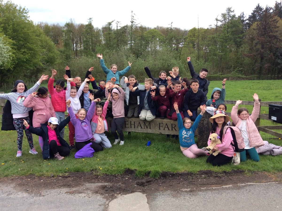 Year 4 have arrived at Lineham Farm safely and are really excited to begin their first activity!