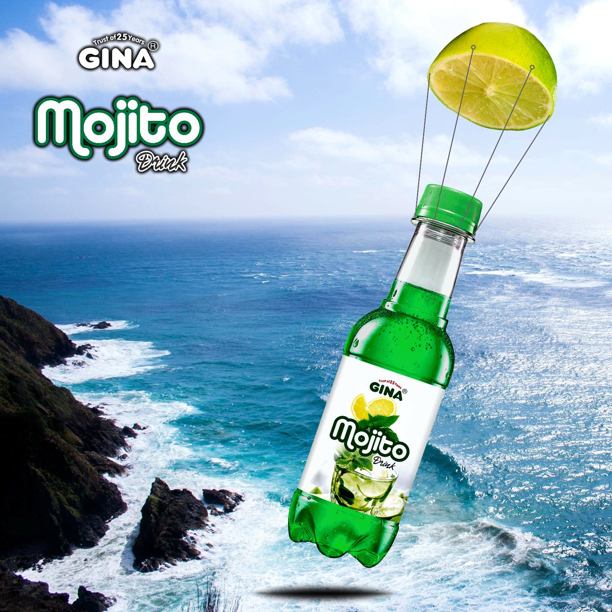 Enjoy the pure goodness of GINA Mojito, mixed with lime, mint, and high-quality spirits for a wonderfully refreshing flavor!

#MojitoLove #RefreshingDelights #SipAndSavor #RefreshingBlend #CheersToMojito #ThirstQuencher #Silvassabottling #silvassa #TrustInQuality