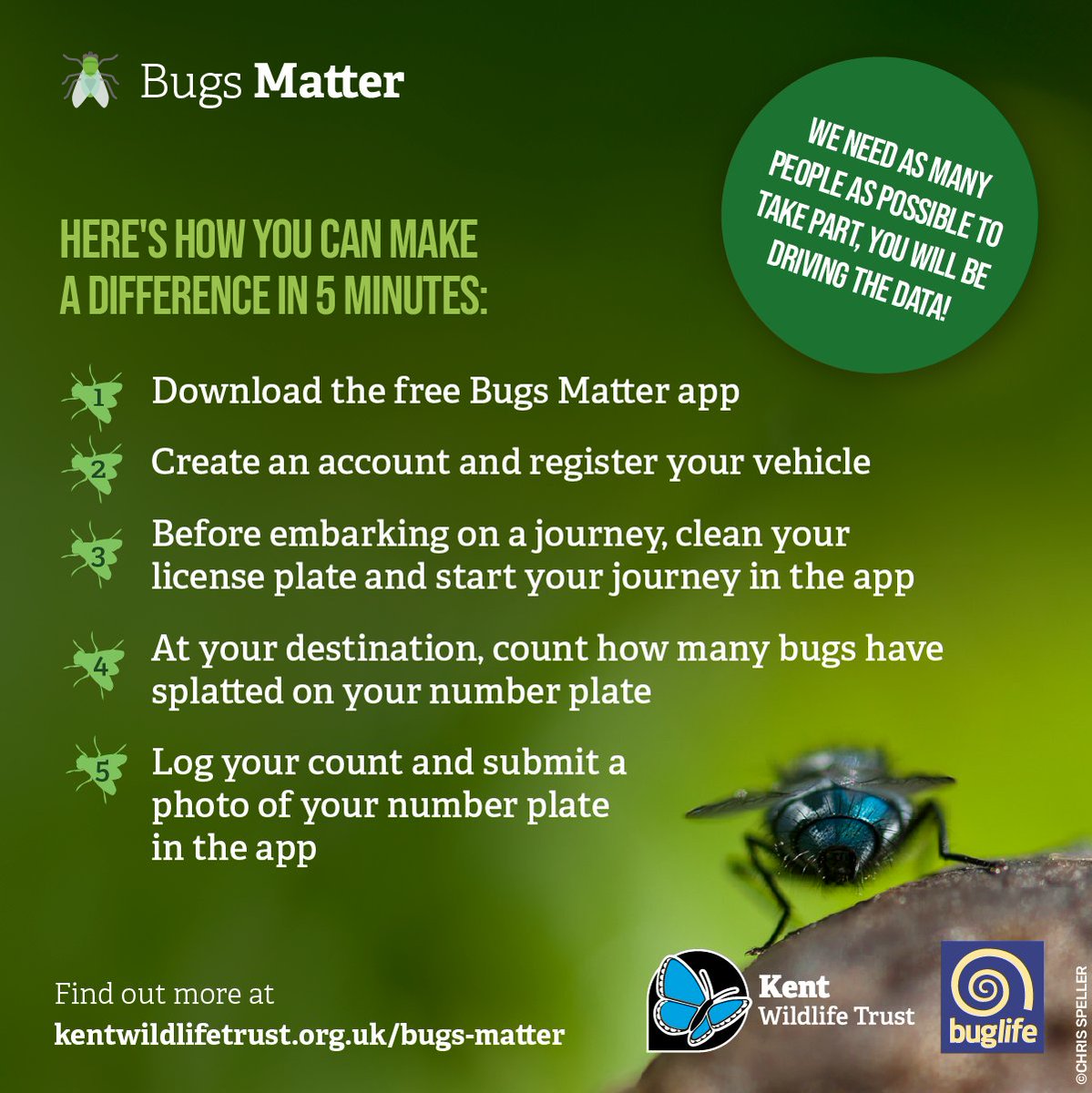 You can make every journey count & show that #BugsMatter, starting Wednesday! 📲Download the free mobile app, record insect splats on your journeys, & contribute to our understanding of insect populations. ℹ️ Find out more & download the app 👇 buglife.org.uk/get-involved/s… 🧵/2