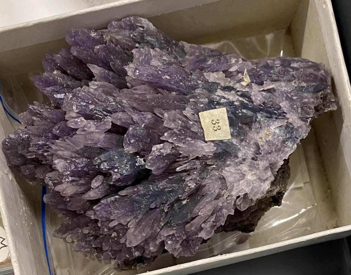 Amethyst from Vălişoara, Romania, though its label has the old name
Porkura, Hungary. You have to keep up with historical changes with old collections. Looks like beautiful crystalline coral! #MineralMonday #GeoscienceTwitter