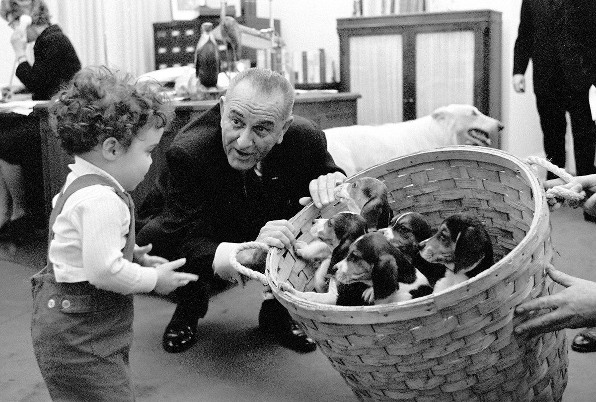 LBJ and puppies: