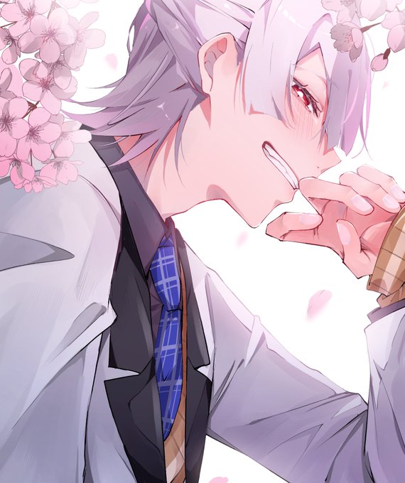 「cherry blossoms」 illustration images(Latest｜RT&Fav:50)｜5pages