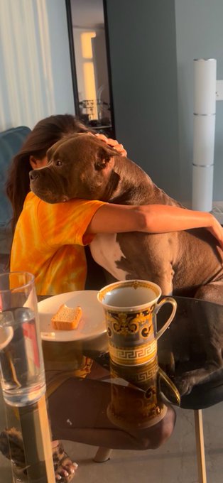 Who rescued who?  Greatful for my faithful friend. https://t.co/iU2GMRGeAg