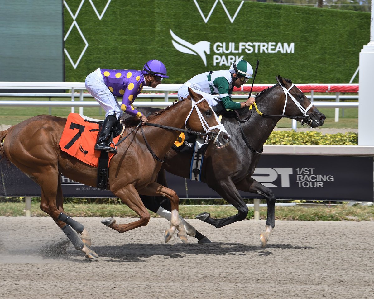 SaffieJosephJr's tweet photo. #29Apr General Ledger
Jockey: Fernando Jara
Trainer: Saffie Joseph, Jr.
Owner: All in Line Stables LLC
Allowance Optional Claiming $75,000 • Dirt
8️⃣th victory for Saffie Joseph, Jr. #GulfstreamPark #RoyalPalmMeet Sunday, April 28, 2024 #TeamJosephJr
📸 @coglianesephoto https://t.co/uH5FeQQZWx