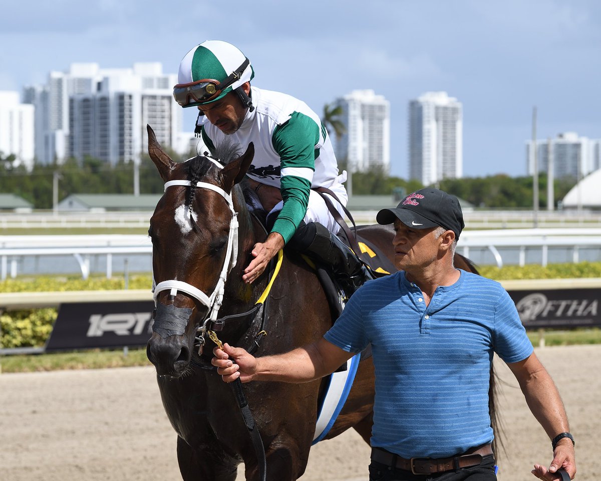 SaffieJosephJr's tweet photo. #29Apr General Ledger
Jockey: Fernando Jara
Trainer: Saffie Joseph, Jr.
Owner: All in Line Stables LLC
Allowance Optional Claiming $75,000 • Dirt
8️⃣th victory for Saffie Joseph, Jr. #GulfstreamPark #RoyalPalmMeet Sunday, April 28, 2024 #TeamJosephJr
📸 @coglianesephoto https://t.co/uH5FeQQZWx