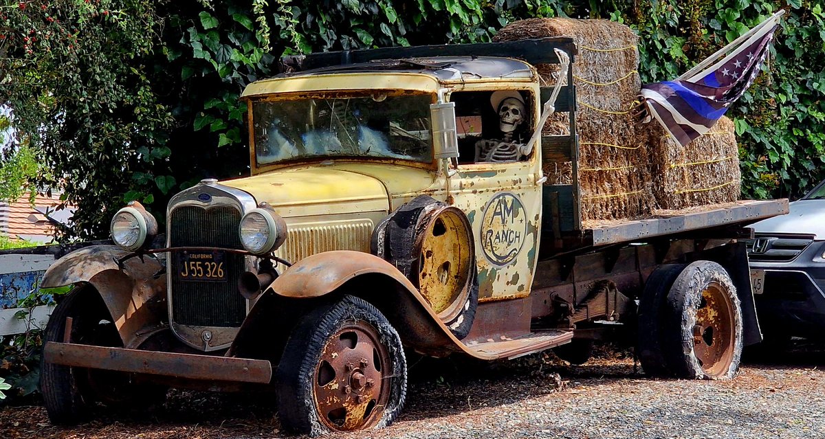 There are some very strange things to be seen in the driveways of Californian homes...