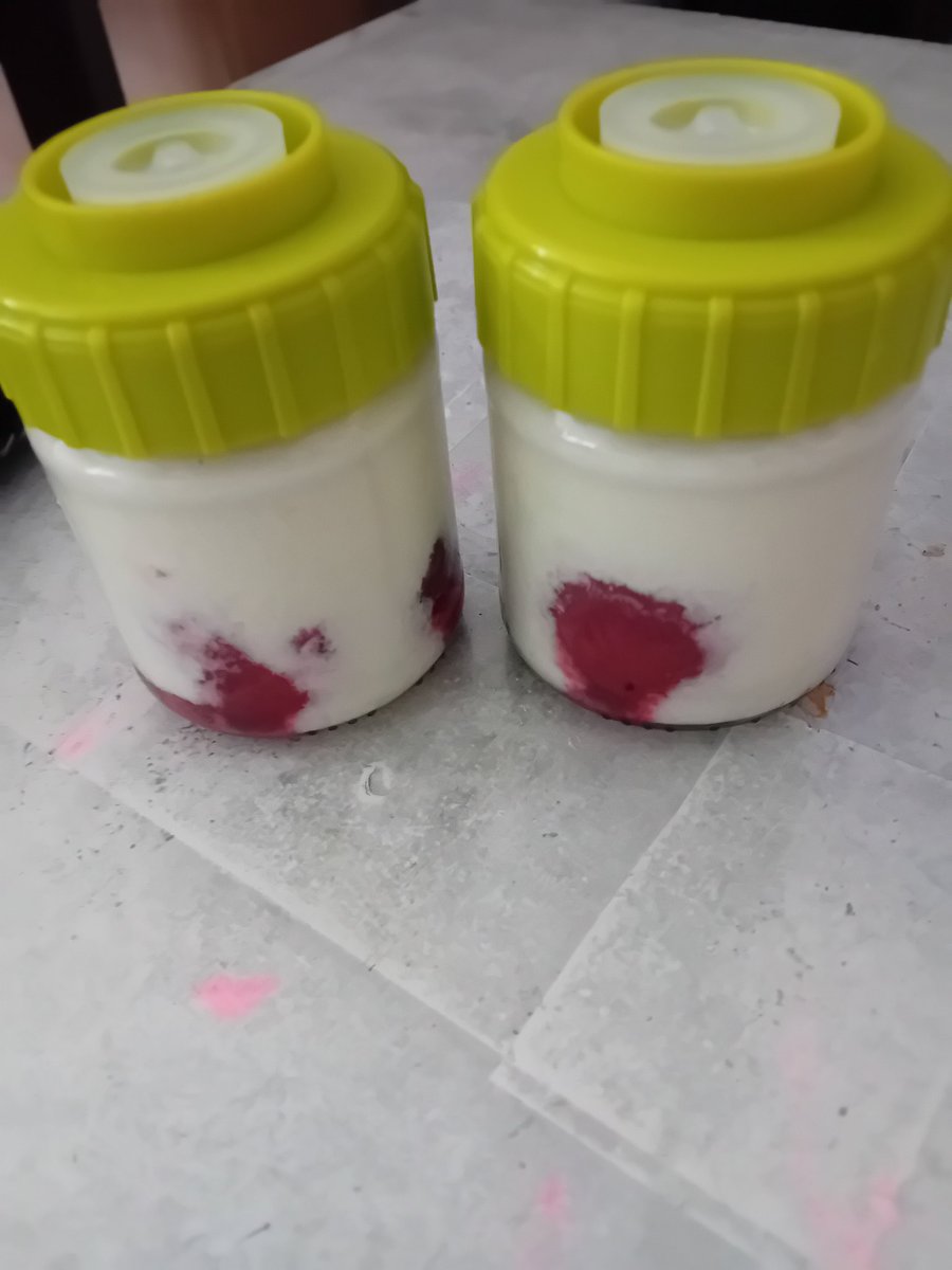 RabiteauC98244's tweet photo. Yaourts fait à la #machineàpain et avec les #ferments @GuyDemarle
J'ai fait des natures et j'ai rajouté direct dans mes #petitspots #besave des fruits rouges décongelés avant de mettre mon yaourt et en ➕️ avec les petits pots je peux conserver ➕️ longtemps https://t.co/MEAxtkQ8mz