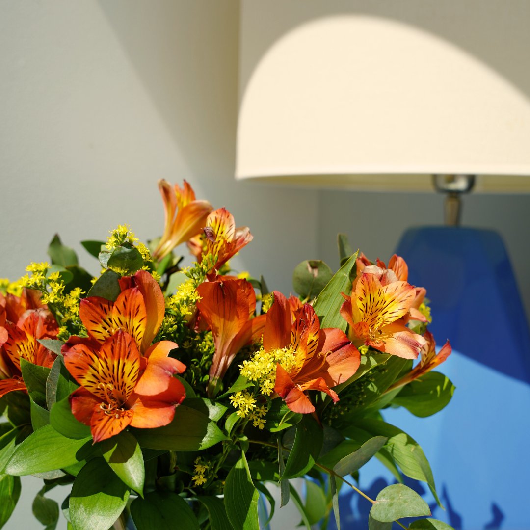 Hotel Fernando III tweet media