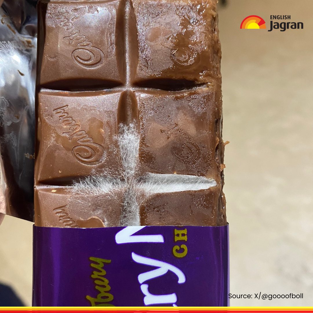 #SwipeToSee | #Hyderabad #ViralNews: A Hyderabad resident has lodged an online complaint, sharing pictures of the contaminated chocolate bar and urging the company to take action.

Read More: tinyurl.com/ybswec4n

#Complaint #Company #ChocolateBar #Action