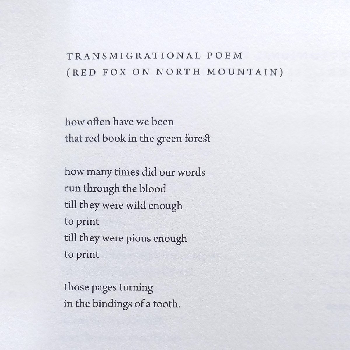 Today would have been the 74th birthday of the extraordinary poet, Don Domanski. His rich imagery and contemplative focus was unique in the world of contemporary letters. Both he, and his divine poetry, are dearly missed.