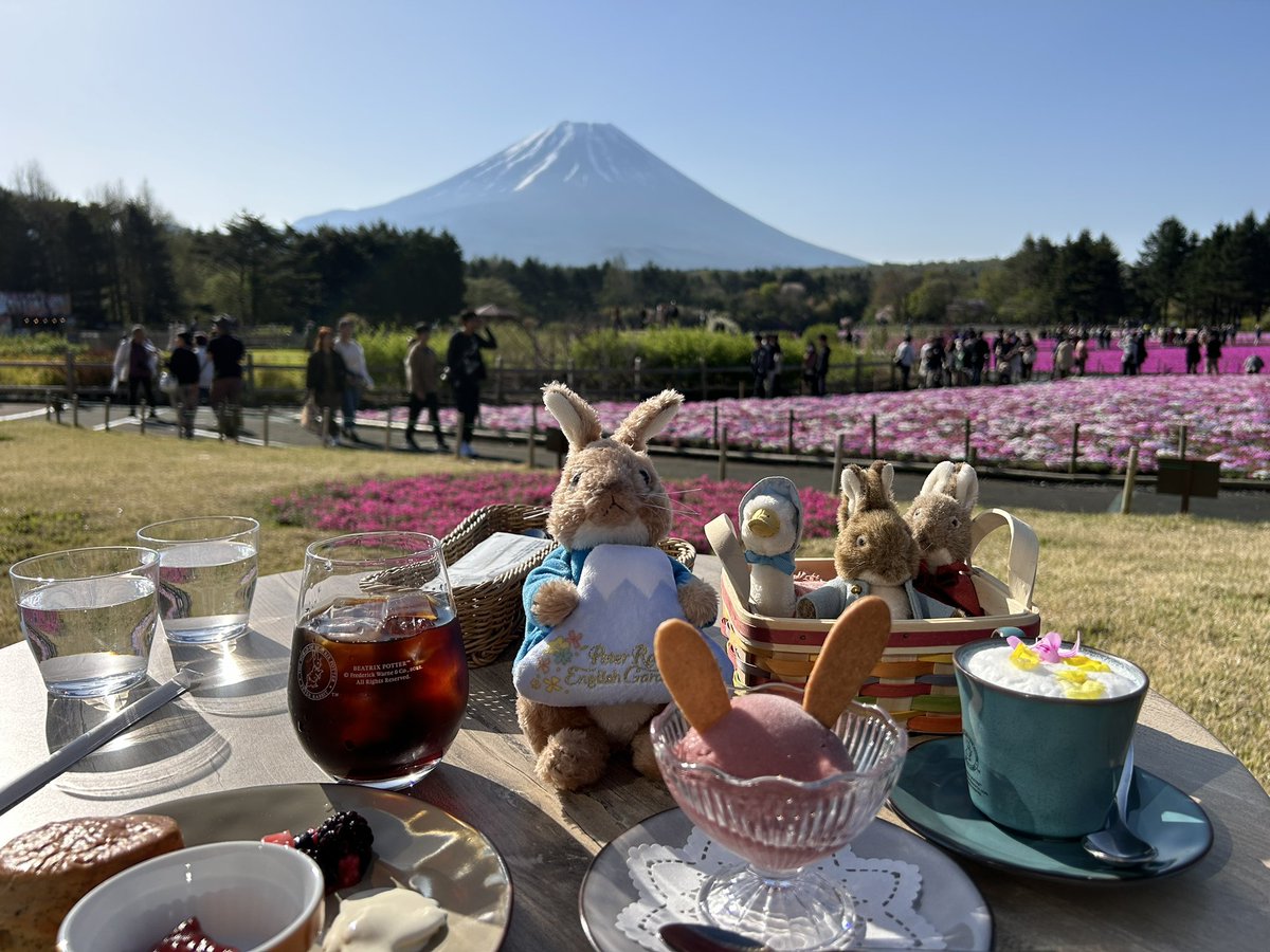 富士山と芝桜とピーターラビット

飛び出す絵本の世界へ彷徨う🗻📖
新たに美しく感動の物語を紡ぐ…

 #富士芝桜まつり