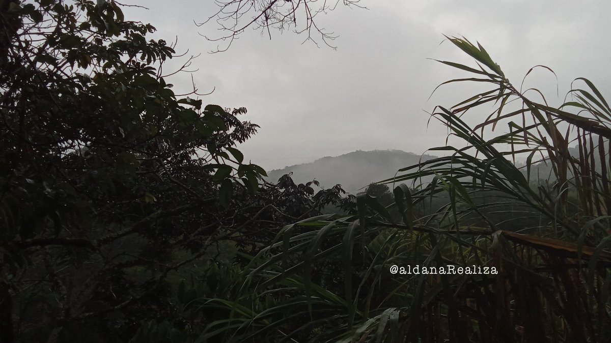 Si por allá llueve, por aquí no escampa. Para el frío un abrazo que se convierta en un Refugio al compartir un buen café. #CaféConTuPoesía #CaféElRefugio