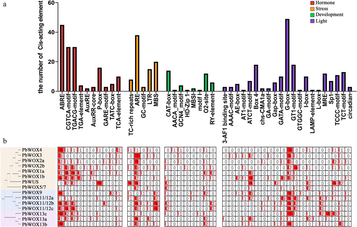 #PlantScience #ConservationGenetics
New insights into WOX genes in Phoebe bournei reveal potential roles in embryo development. Understanding their function aids conservation efforts. 
@MaximumAcademic 
Details: maxapress.com/article/doi/10…