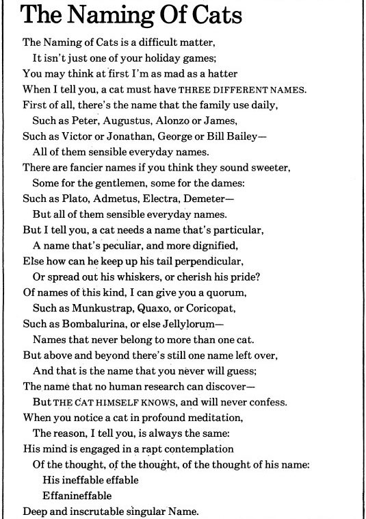 A practical piece of poetry, should you find yourself with a new family member during this spring kitten season.🐈✍️❤️🐈‍⬛
#tseliot
#thenamingofcats
#poetrymonth