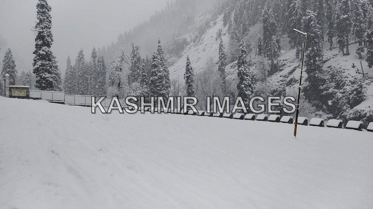 DKashmirimages tweet picture