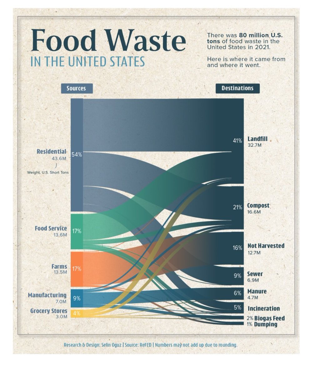 We could feed everyone a nutritious meal daily if we reduced food waste.

#foodwaste #food #health #meal