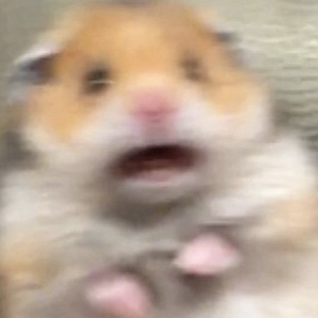 same mood