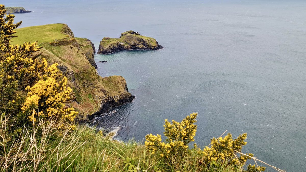 Carrick-A-Rede Rope Bridge looking pretty today even in the dull weather! 📸 Anne Kelly • @annlizkelly