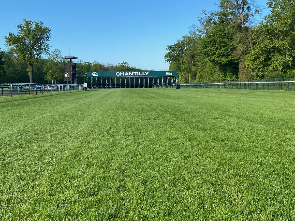 [TERRAIN] Aujourd’hui @fgchantilly SOUPLE (3.5) Lice à 10m courbe est, 5m ligne droite  PSF : standard  🌧️ depuis 24H : 1,7 mm Temps ensoleillé, 18°C, vent SUD-EST 5-15km/h.