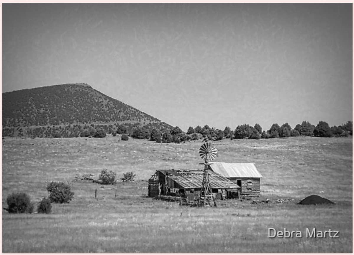 Thank you to the buyer from Texas for your purchases in my online Redbubble Shop! Abandoned West of Clayton New Mexico redbubble.com/shop/ap/804778… Abandoned in New Mexico Near Capulin Volcano redbubble.com/shop/ap/106831… #sold #ThankYou #BuyIntoArt #abandoned