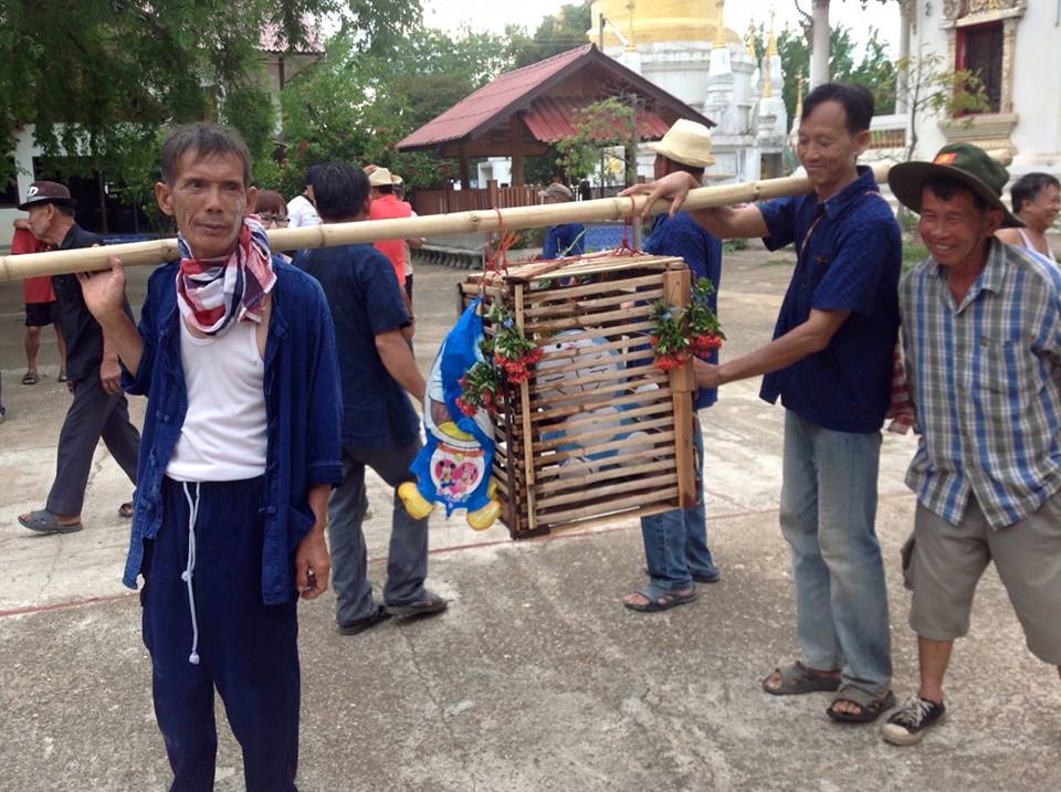 タイの雨乞いの儀式でかわいそうだから生きた猫の代わりにドラえもんが使われているという話、検索してみたら本当にいくつかヒットした 😺