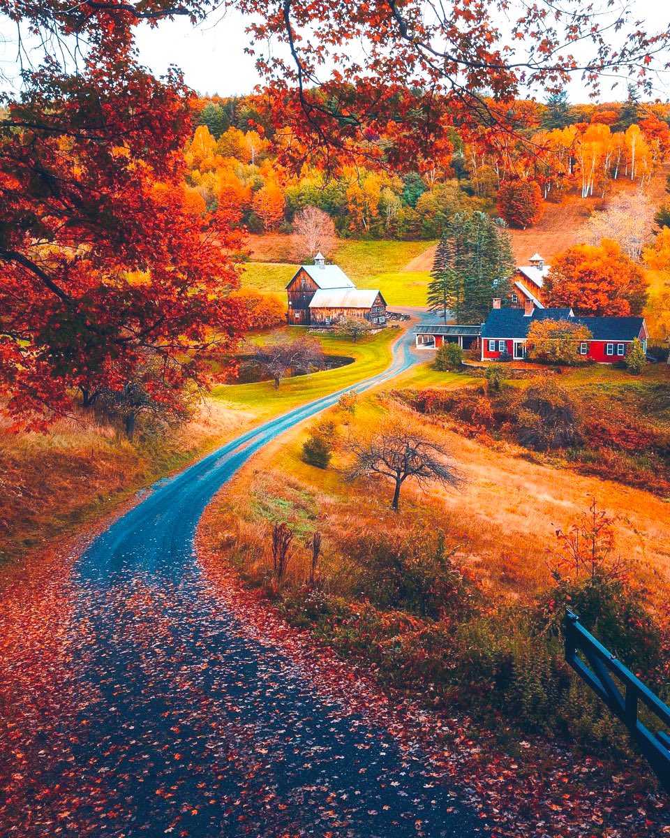 Vermont 🧡