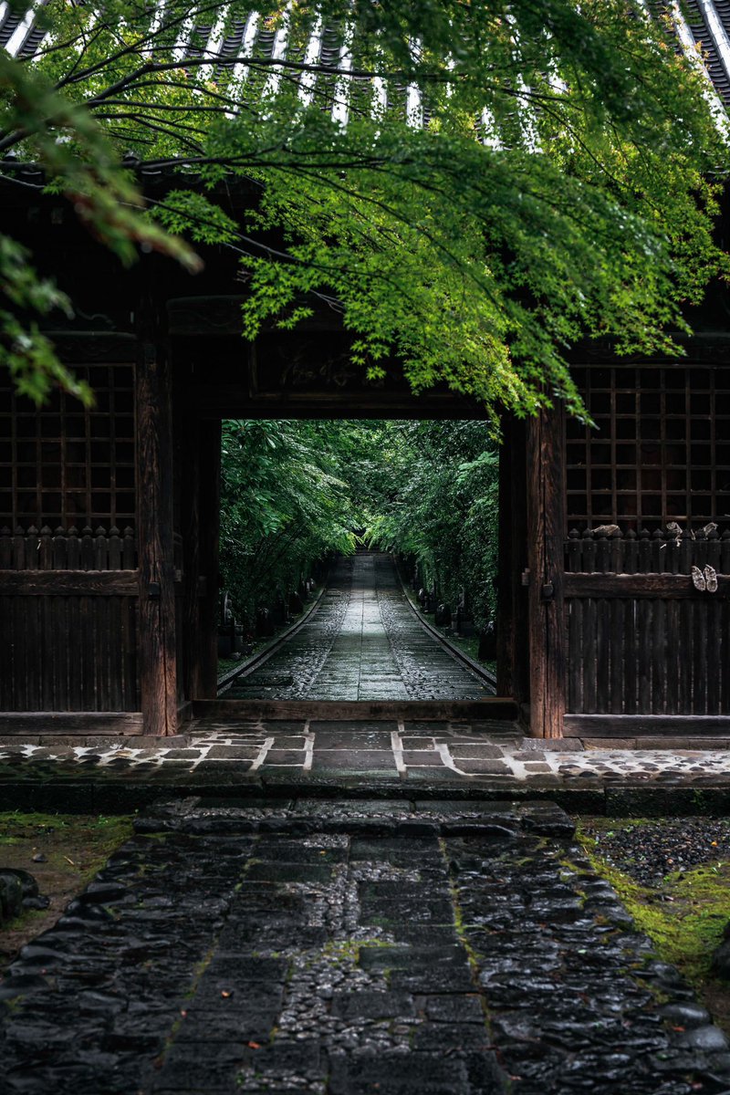 仙台最強の緑の山門