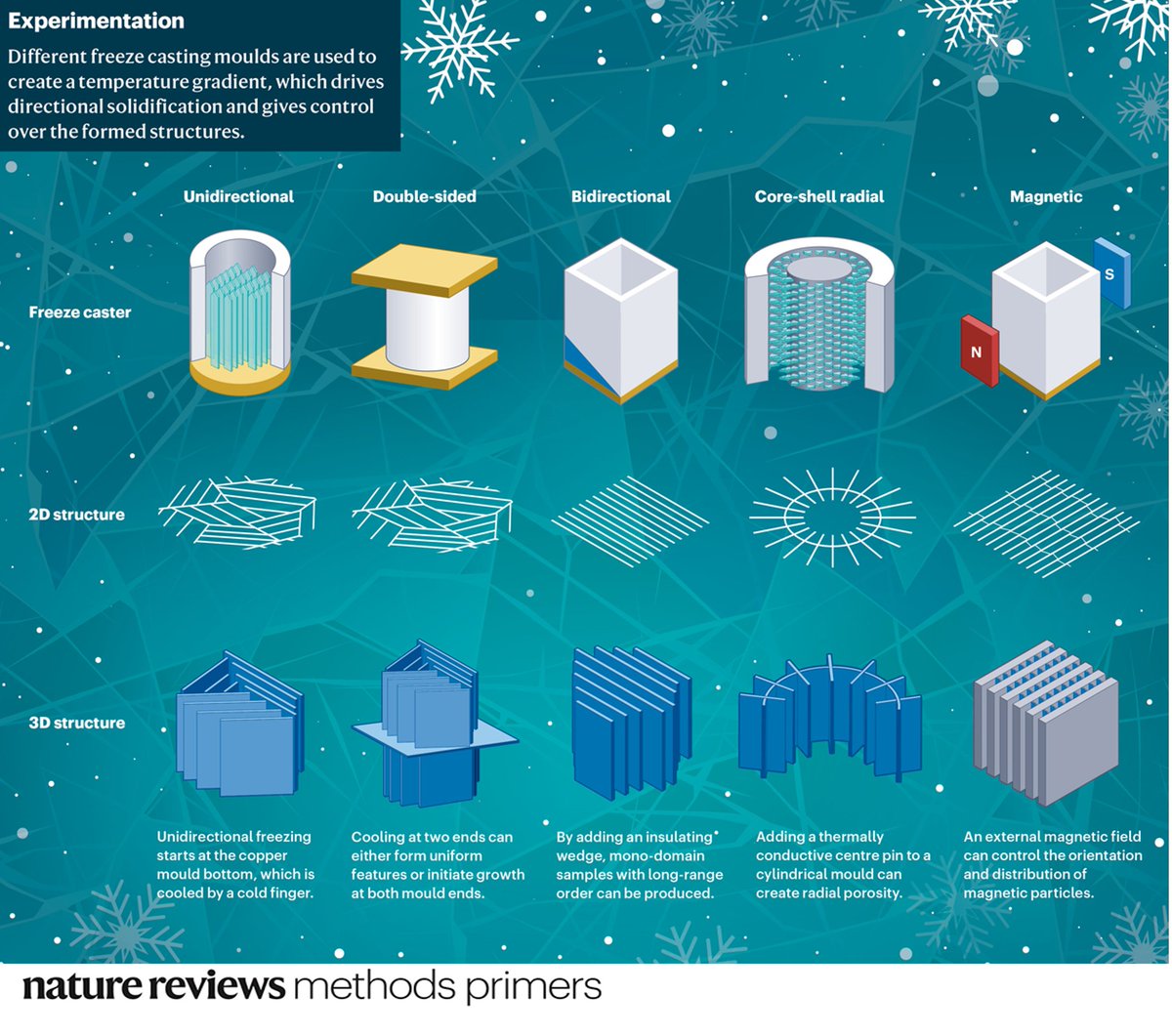 Our latest PrimeView highlights the structures formed with different freeze casting moulds. Free to download: go.nature.com/3WjiWxC