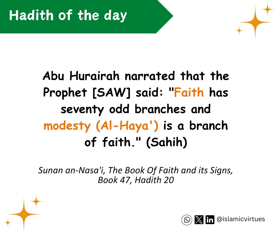 Modesty is a branch of faith.

#hadith #modesty #faith #muslims #Islam #Allah #islamicvirtues #gazaceasefire #oneummah