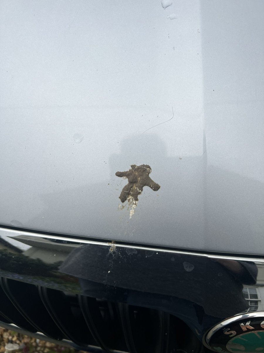 My brother’s car with a bird poo the shape of a tiny astronaut