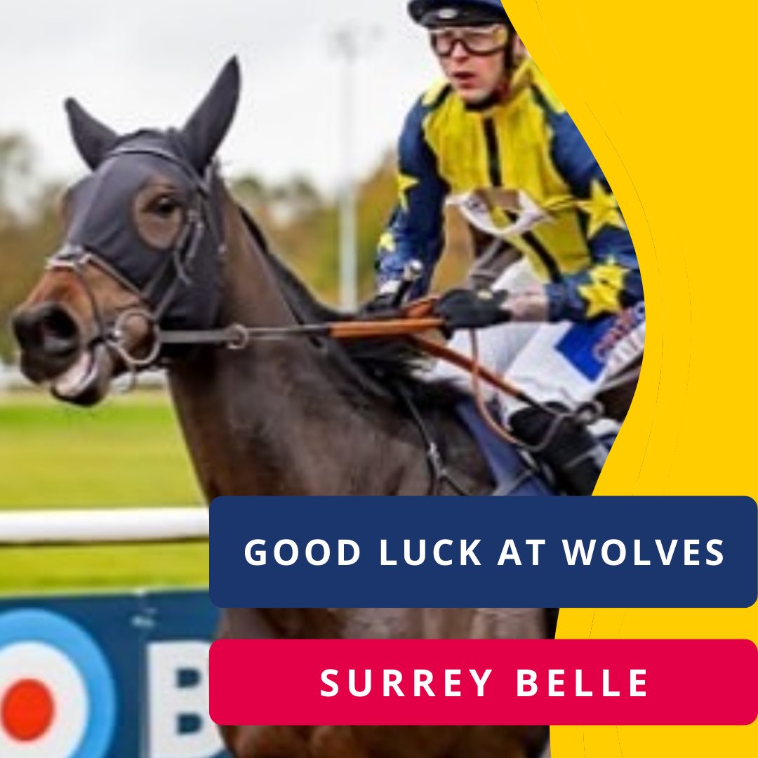 After two seconds in a row for SR we will hopefully go one better today as Surrey Belle attempts back to back wins @WolvesRaces at 20.00 this evening with @loughnane_billy riding. Good luck to all connections @Summerdown1997 ! #surreyracing #surreybelle #wolvesraces