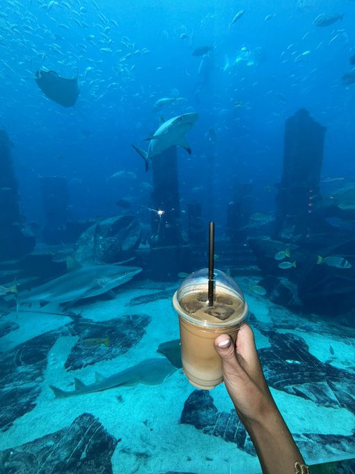 Coffee wif view   (gm) https://t.co/PrHRF5kgQk<a href="/tag/binancecampus"class="tags"><span>#binancecampus</span></a>