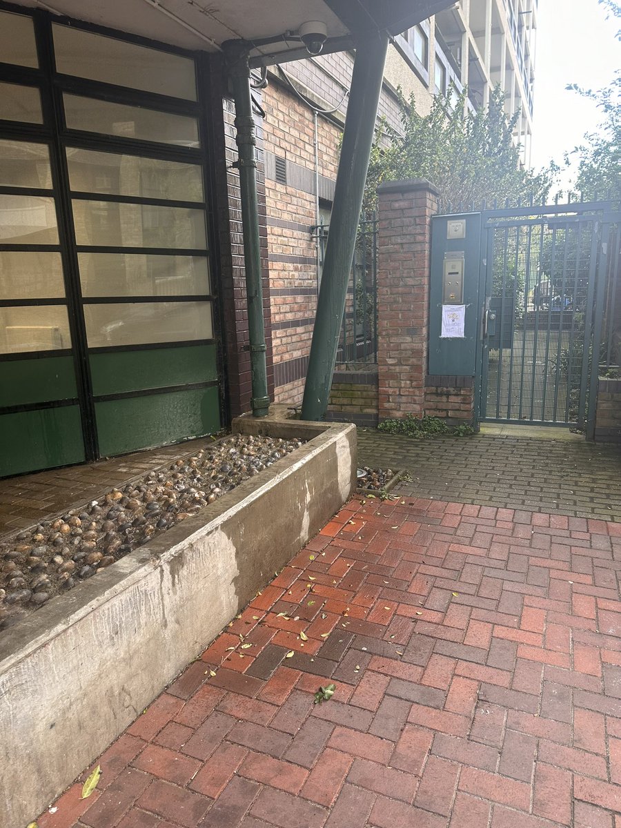 @lambeth_council This has been reported for over four years now. Started out on one side of entrance. Now it’s seeping into the bedroom of purpose-built flat for people with disabilities.