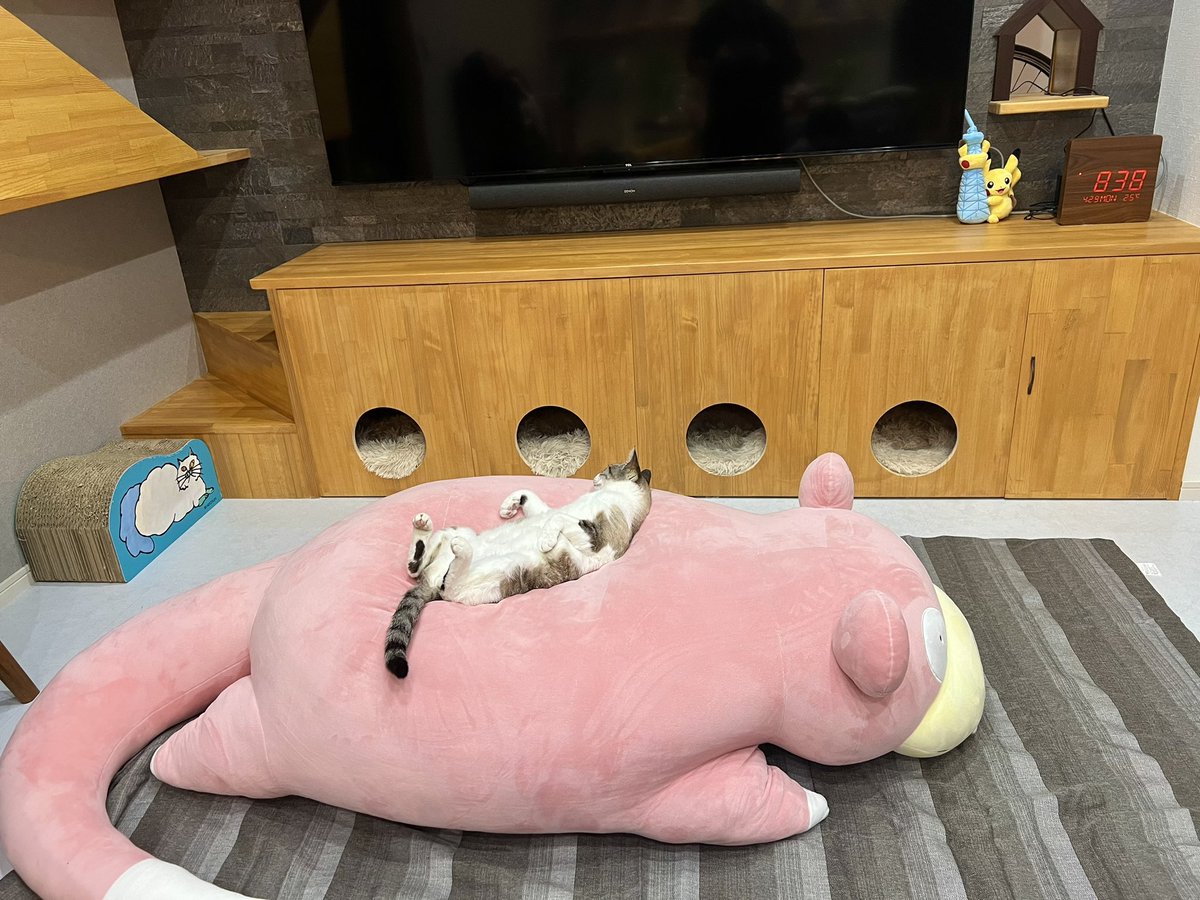 我が家に来たばかりの新入りヤドン(150cm)に秒で心を許したネコ