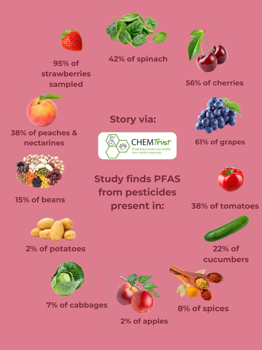 Study finds PFAS from pesticides are present in many common foods. PFAS have been linked to cancers, thyroid, liver & kidney conditions, low fertility & birth defects, metabolic & blood sugar concerns. chemtrust.org/news/panuk-pfa….