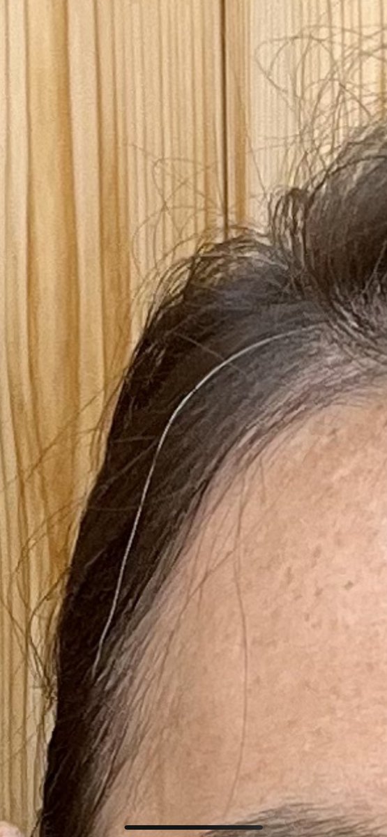 Bailey Bickley tweet media