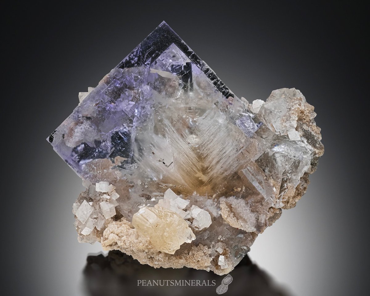 Fluorite with Dolomite & Calcite

Walworth Quarry, Walworth, Wayne County, New York, USA

29×31×24mm
No. 0016 X

#peanutsminerals