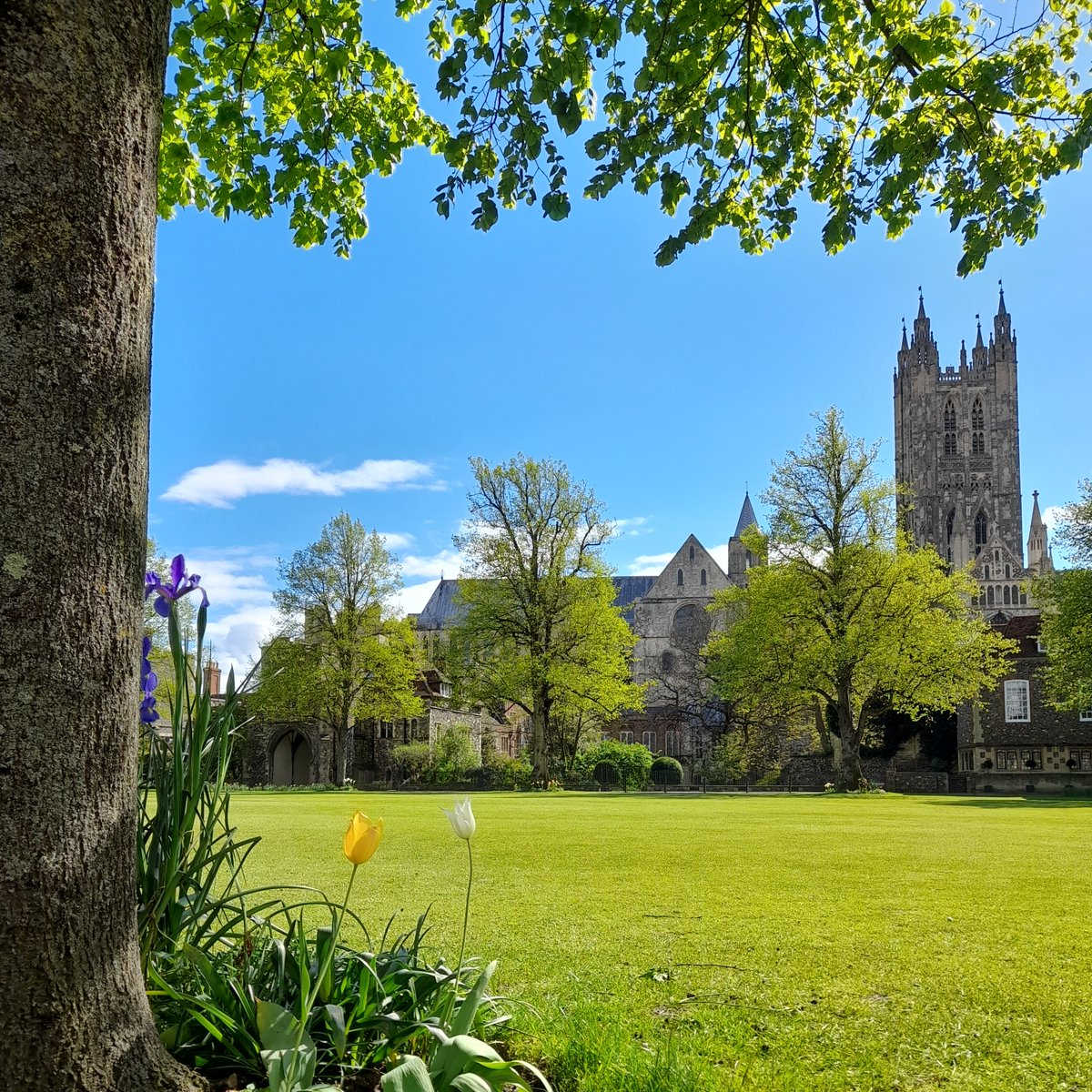 Sending our best wishes to all the remarkable Year 8 candidates as they embark on their Academic Scholarship journey at The King's School Canterbury this week. Best of luck to each and every one of you! #scholarship #academic #goodluck #education #Canterbury