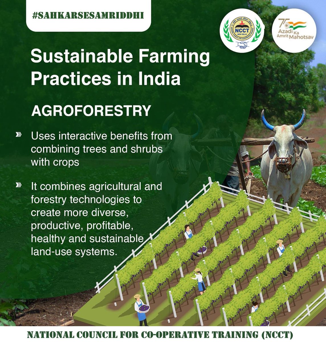 #Sustainable Farming Practices in india.
#cooperative #सहकारसेसमृद्धि #SahkarSeSamriddhi #NCCT #minofcooperatn #सहकारिता_मंत्रालय #Farming  #Farmers